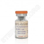 GLOBAL-HCG5000, Human Chorionic Gonadotropin 5000iu, Global Anabolic