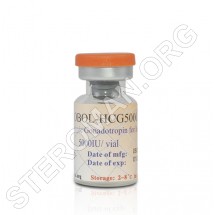 GLOBAL-HCG5000, Human Chorionic Gonadotropin 5000iu, Global Anabolic
